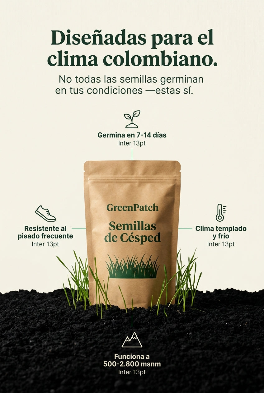 GreenPatch - Diseñadas para el clima colombiano